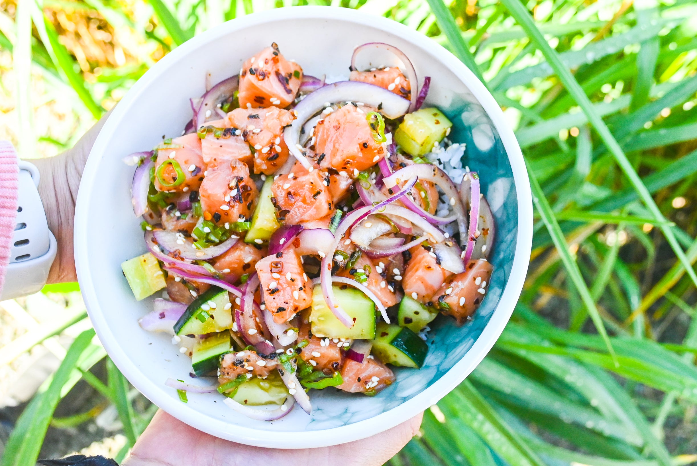 Kelp Chili Crisp Salmon Poke Barnacle Foods