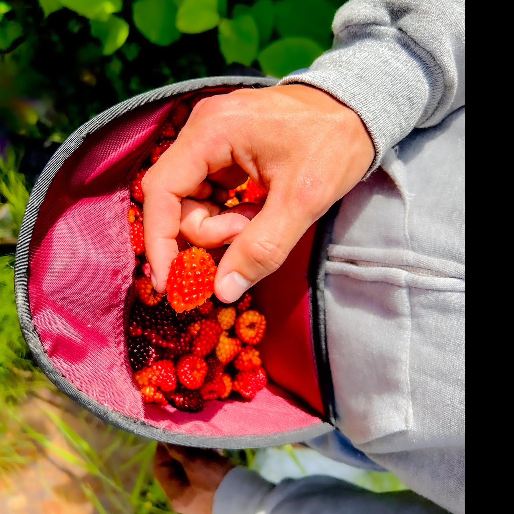 Berry picking basket berry picker blueberry harvest bucket for garden  vegetables strap on bucket for fruit picking basket for vegetables fruit  picking garden baskets for gathering